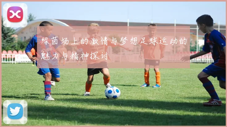 绿茵场上的激情与梦想足球运动的魅力与精神探讨