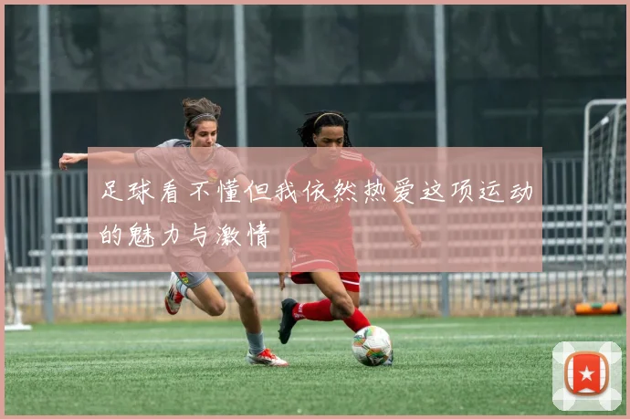 足球看不懂但我依然热爱这项运动的魅力与激情